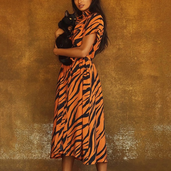 Anthropologie Dresses & Skirts - Anthropologie Maeve Tereza Midi Shirtdress